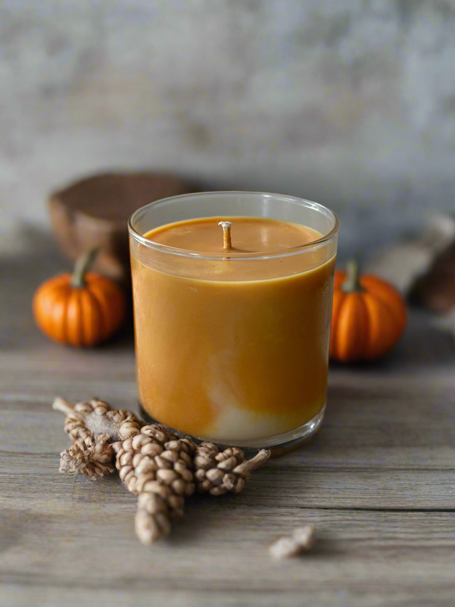 Pumpkin Pie Large - 10oz